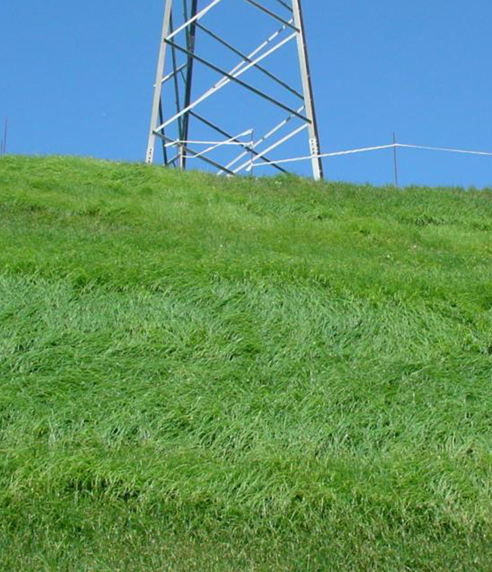 Heavy hydroseeding