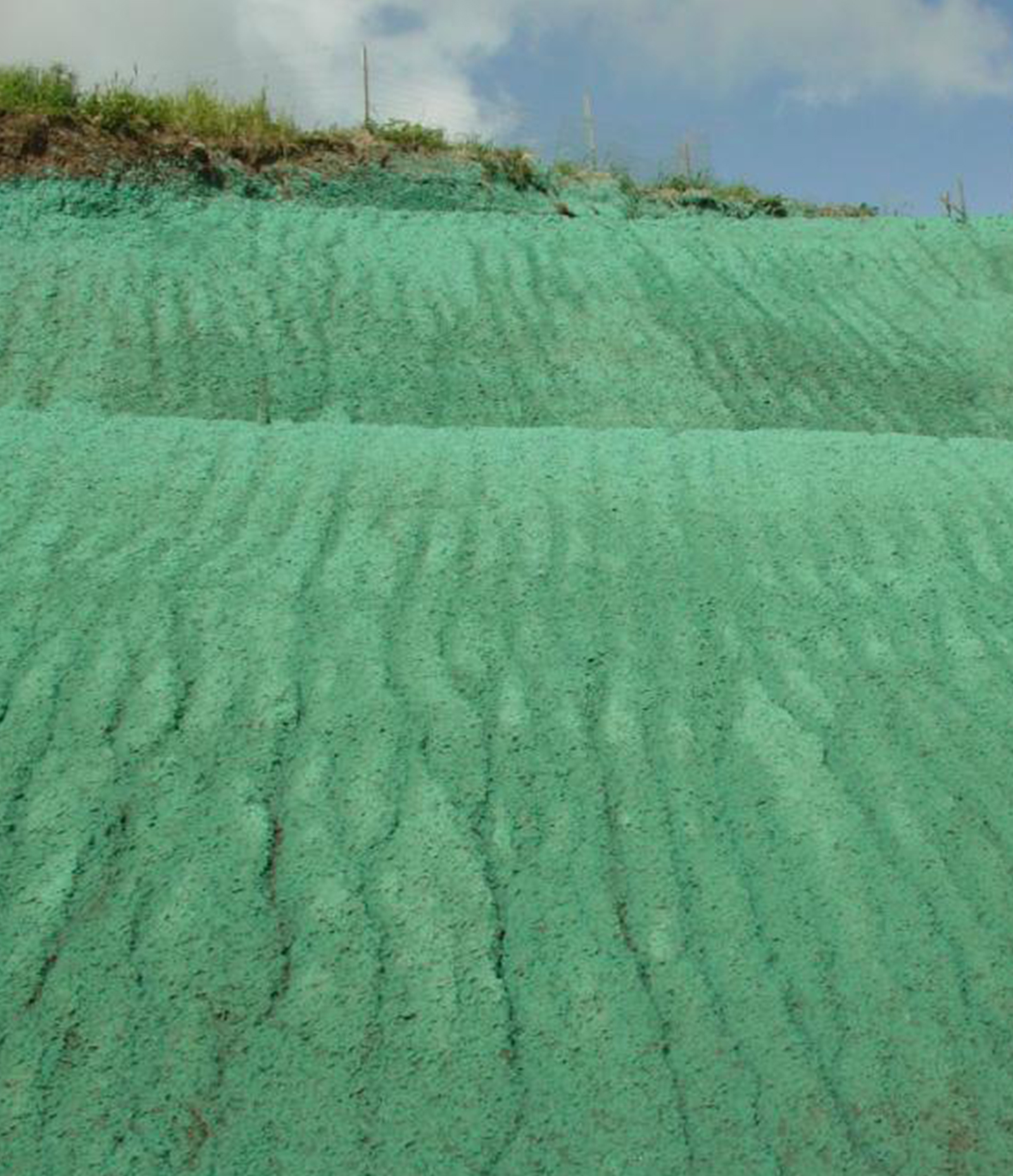 Tabaka hydroseeding