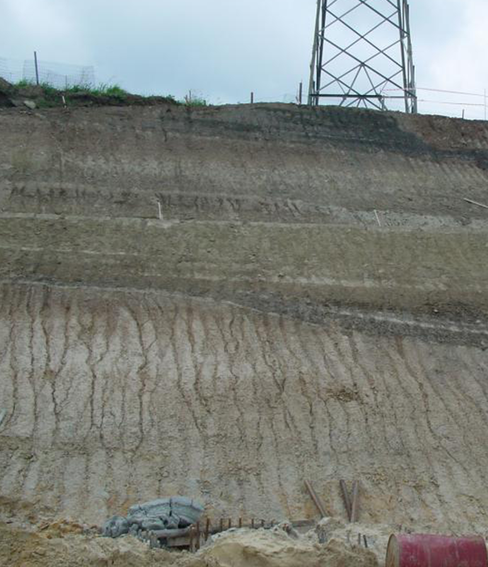 Lif matrisli hydroseeding