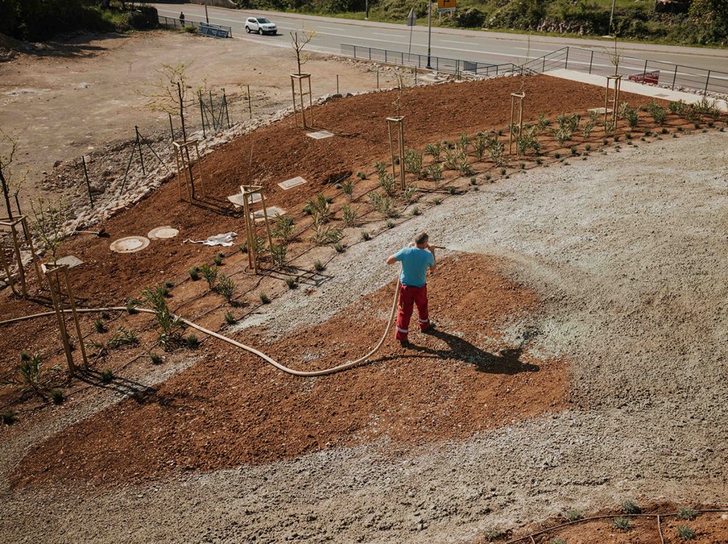 7 Simple Steps for Sustainable Professional Hydroseeding