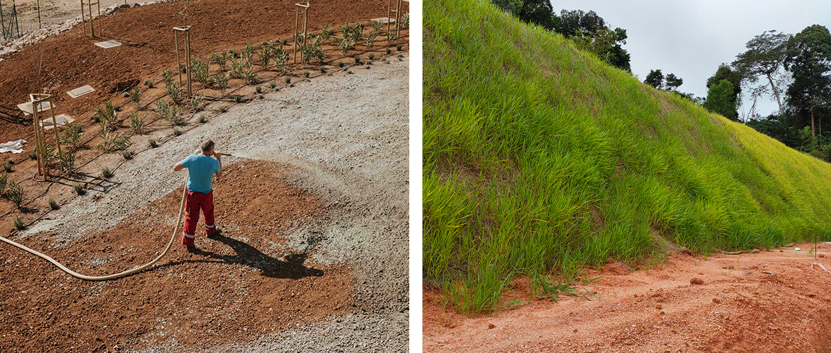 Preparing the Ground for Hydroseeding