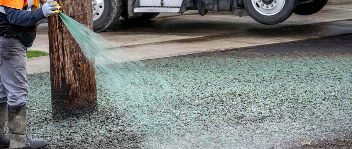 How to Prepare the Soil for Hydroseeding