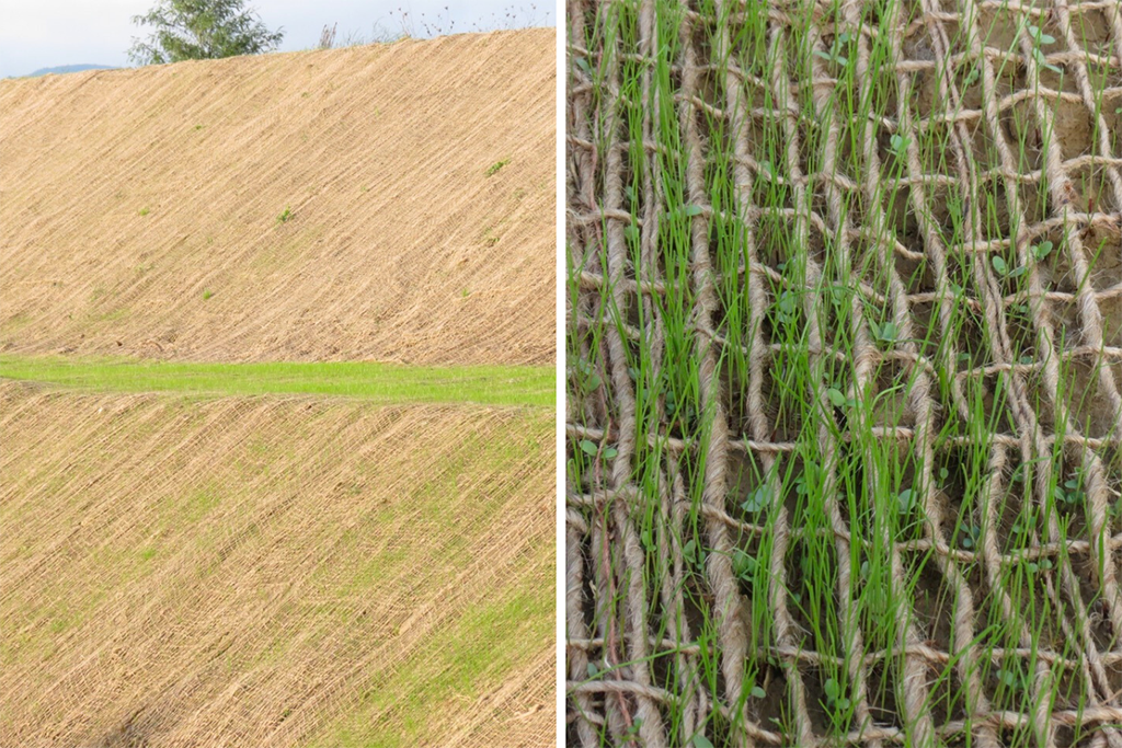 Biostuoie: efficacia nel consolidamento superficiale dei versanti